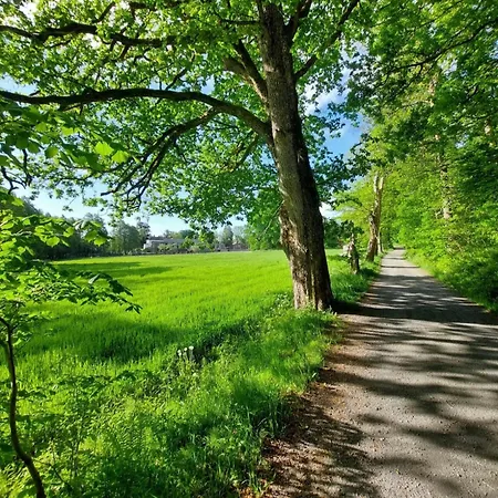 Kaldvell - New * Lillesand