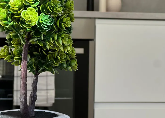 Apartmán Kaldvell - New *